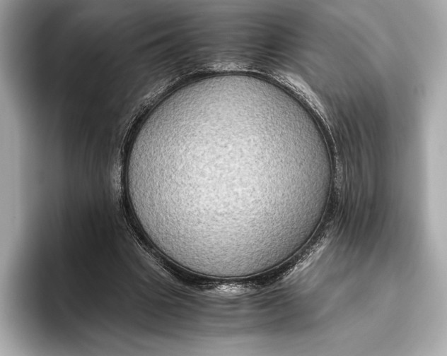 X0000096640441200802261301