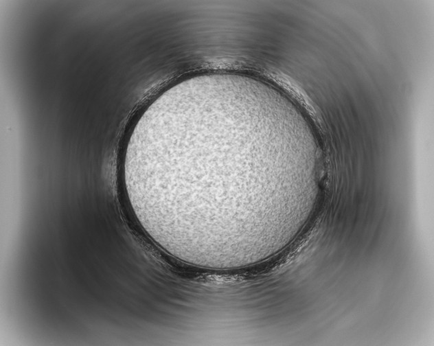 X0000096640442200802261301