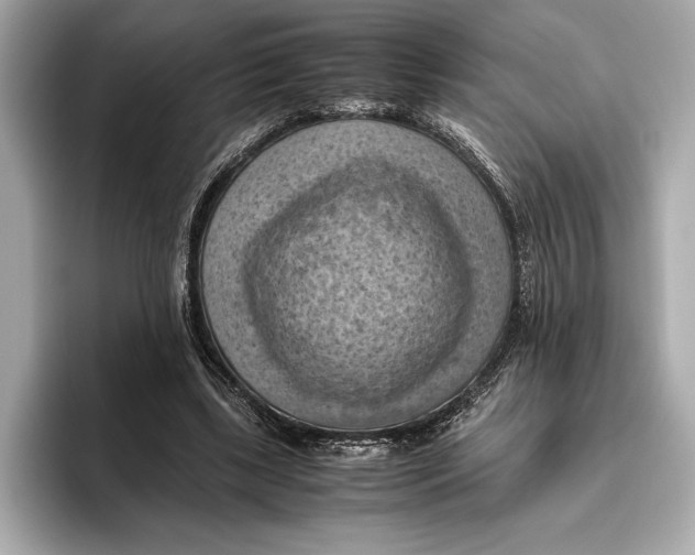 X0000096640443200802261302