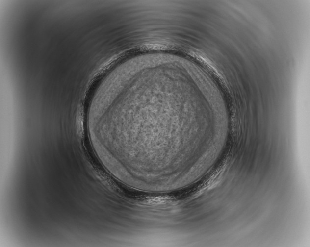 X0000096640446200802261302