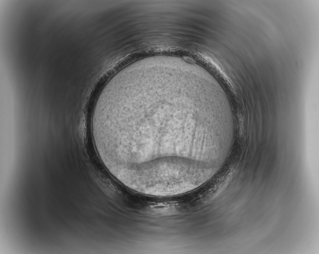 X0000096640447200802261302