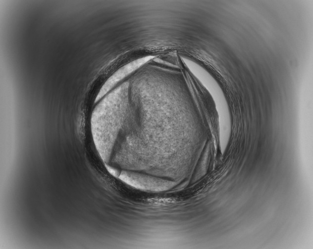 X0000096640448200802261302