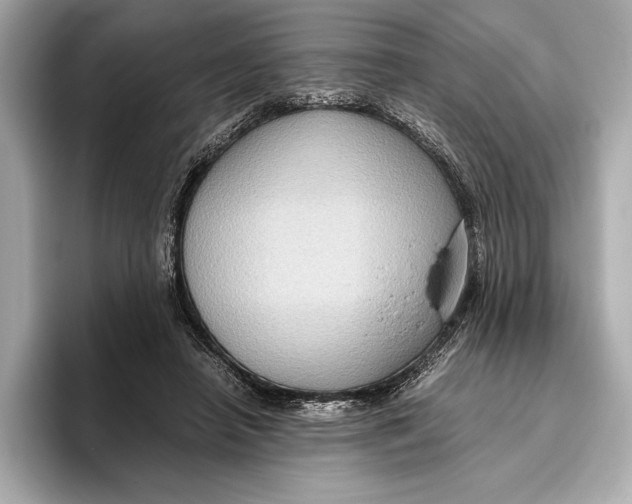 X0000096640450200802261302