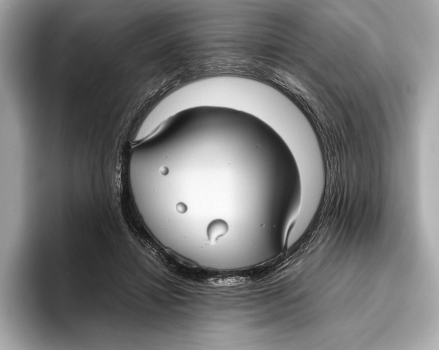 X0000096640452200802261302