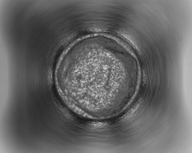 X0000096640453200802261302