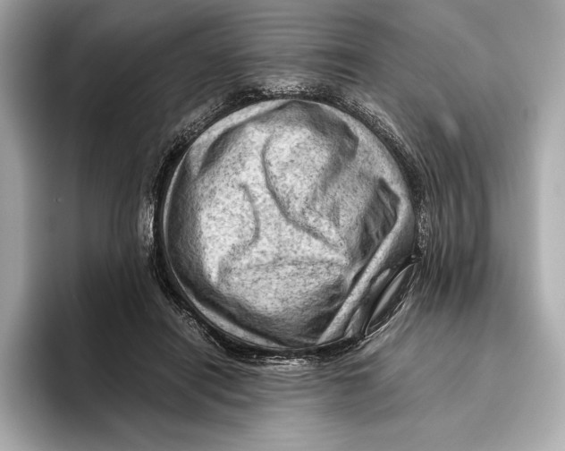 X0000096640454200802261302