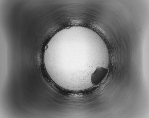 X0000096640455200802261302