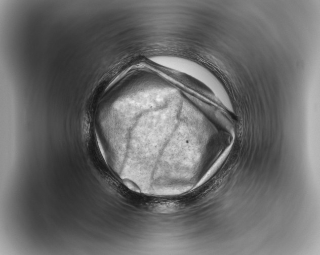 X0000096640456200802261302