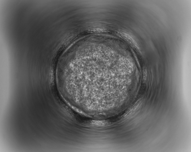 X0000096640457200802261302