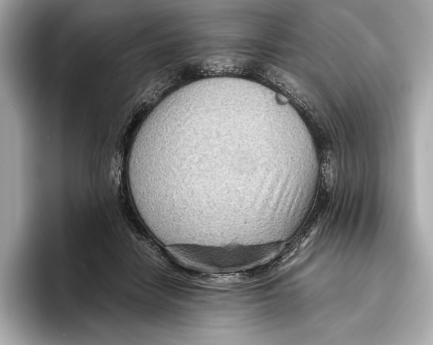 X0000096640458200802261302