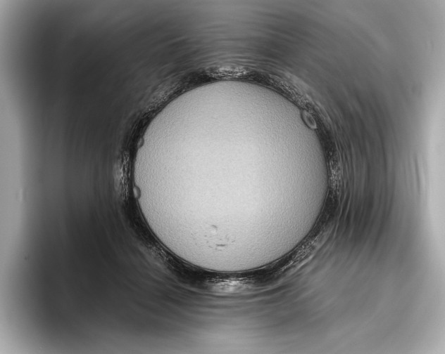 X0000096640460200802261302