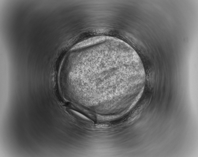 X0000096640462200802261302