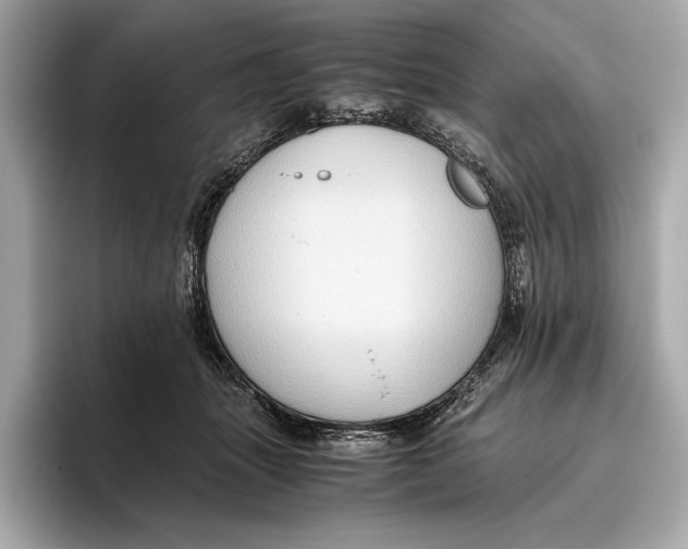 X0000096640463200802261302