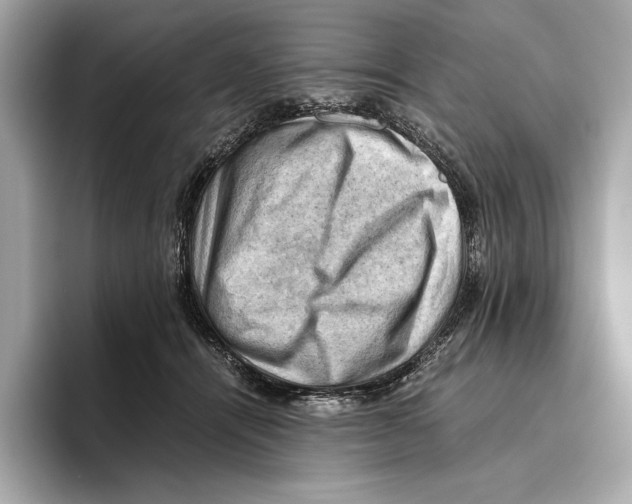 X0000096640464200802261302