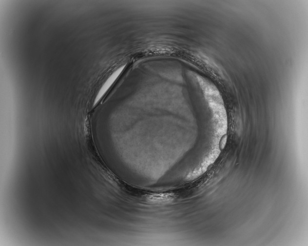 X0000096640465200802261302