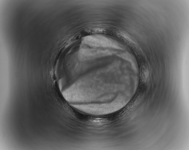 X0000096640467200802261302