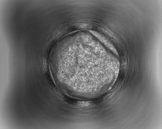 X0000096640469200802261302