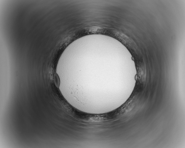 X0000096640470200802261302