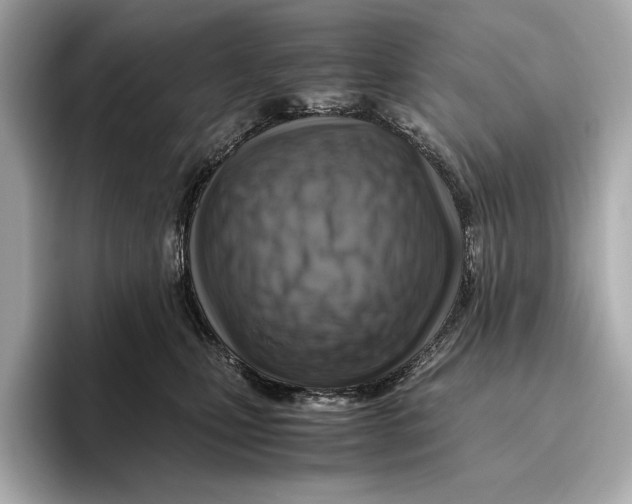 X0000096640471200802261302