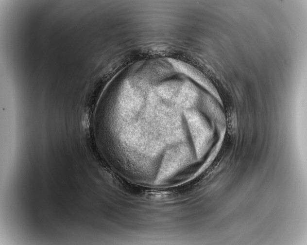 X0000096640472200802261302