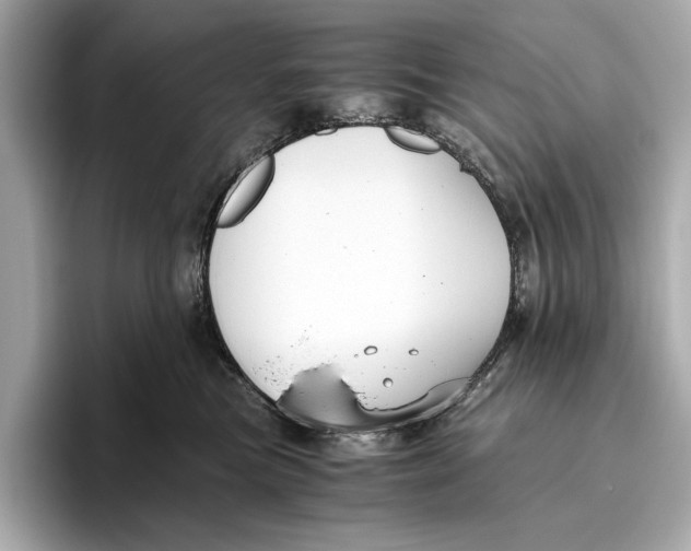 X0000096640473200802261302