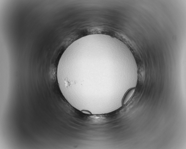 X0000096640477200802261302