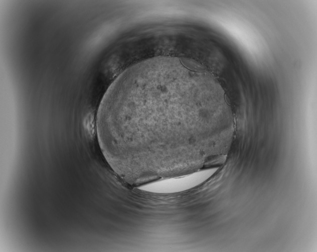 X0000096640479200802261302