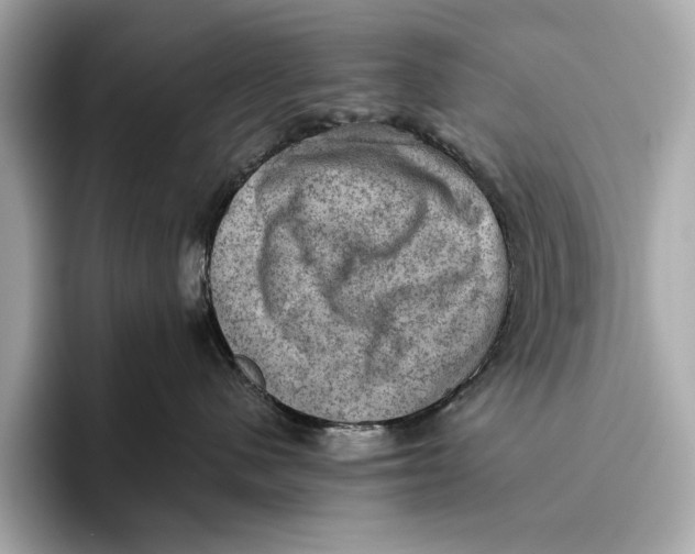 X0000096640480200802261302