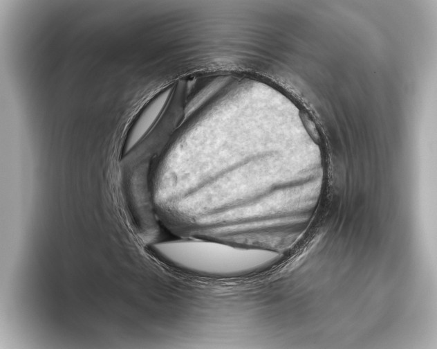 X0000096640481200802261301