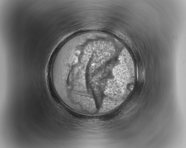 X0000096640483200802261301