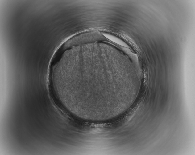 X0000096640484200802261301