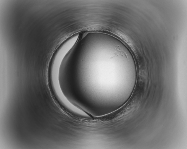 X0000096640485200802261301