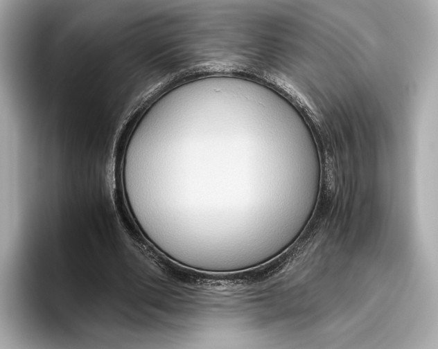 X0000096640486200802261301