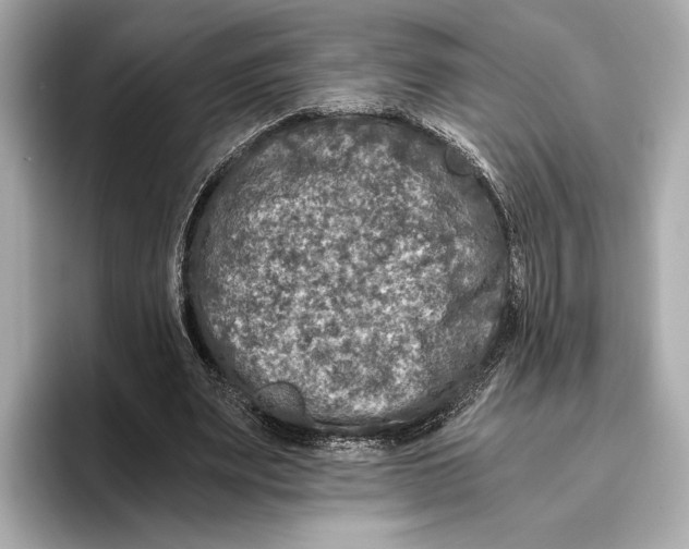 X0000096640487200802261301