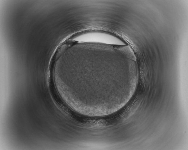 X0000096640488200802261301