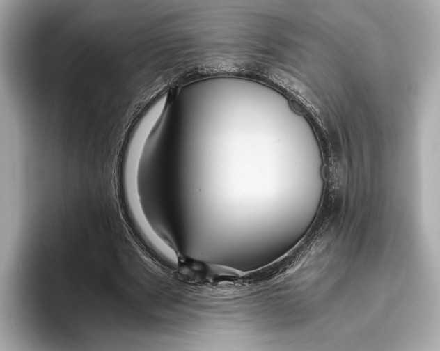 X0000096640489200802261301