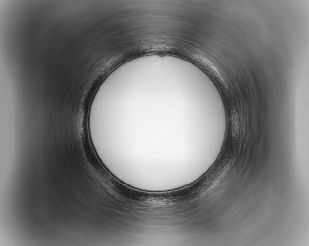 X0000096640490200802261301