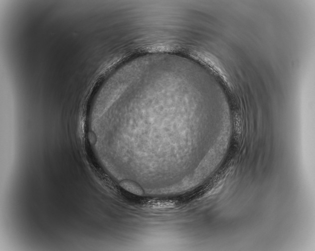 X0000096640491200802261301