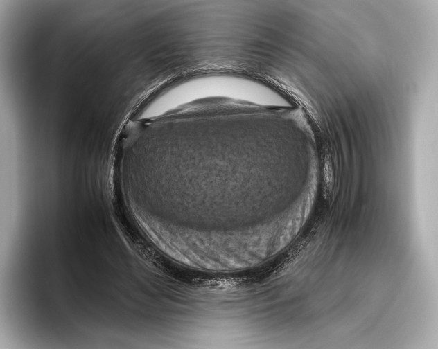 X0000096640492200802261301