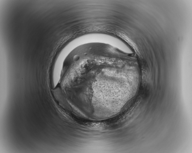 X0000096640493200802261301