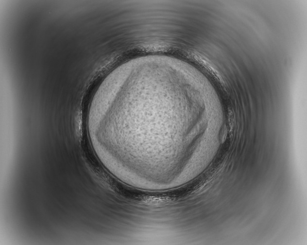 X0000096640494200802261301