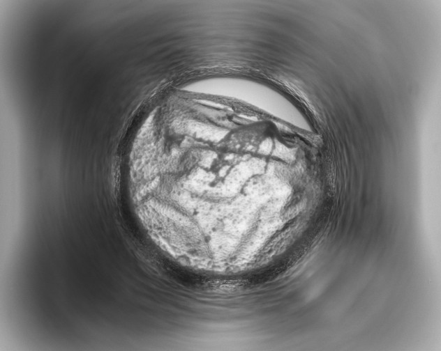 X0000096640495200802261301