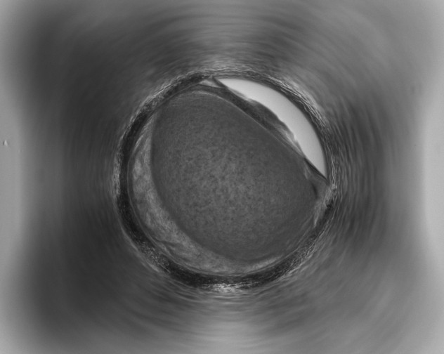 X0000096640496200802261301