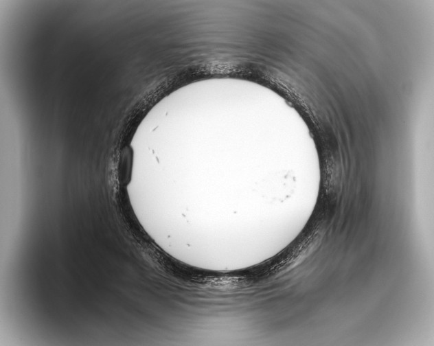 X0000096640497200802261301