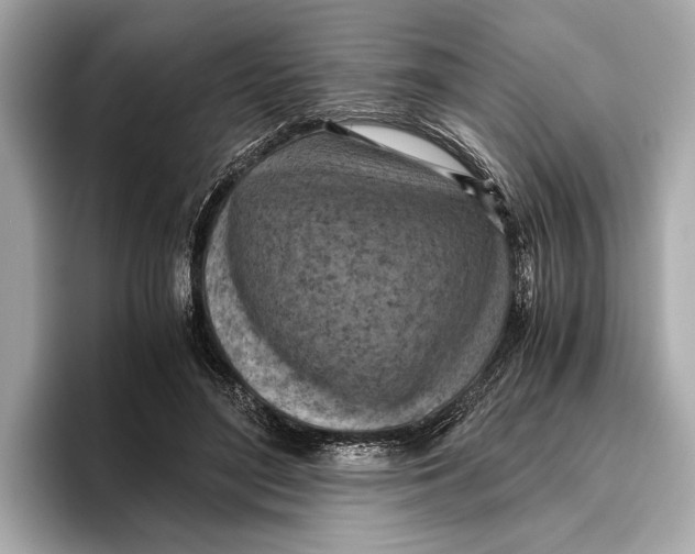 X0000096640500200802261301