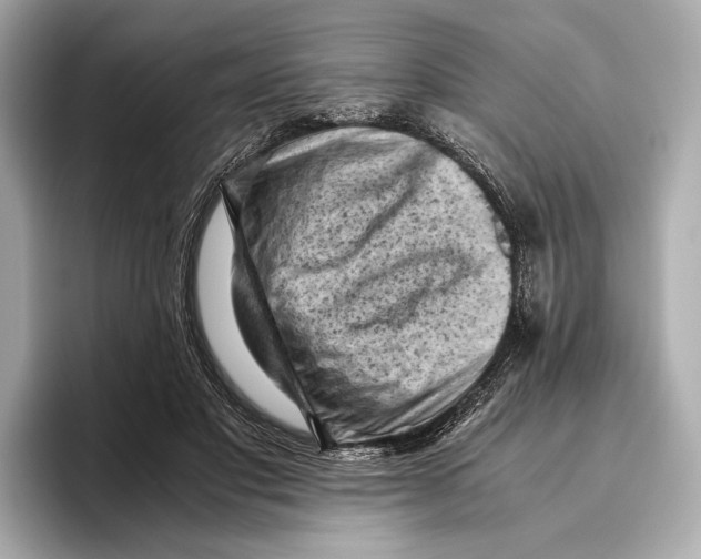 X0000096640501200802261301