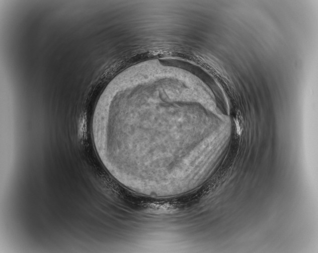 X0000096640502200802261301