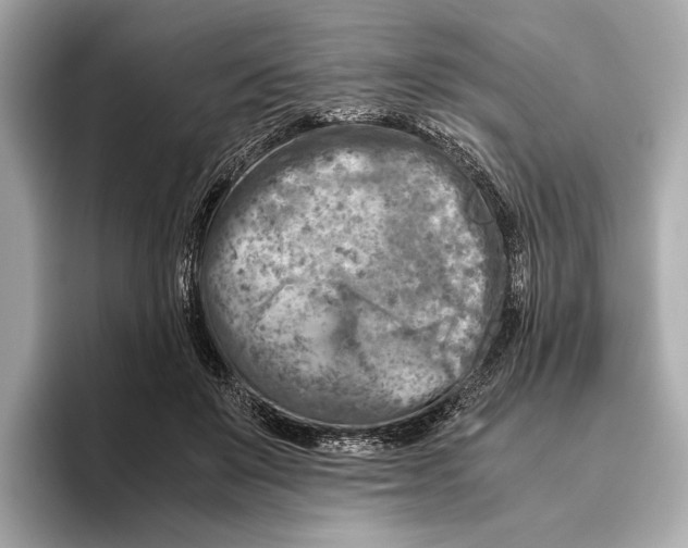 X0000096640503200802261301