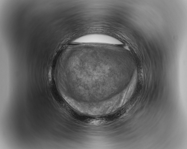 X0000096640504200802261301