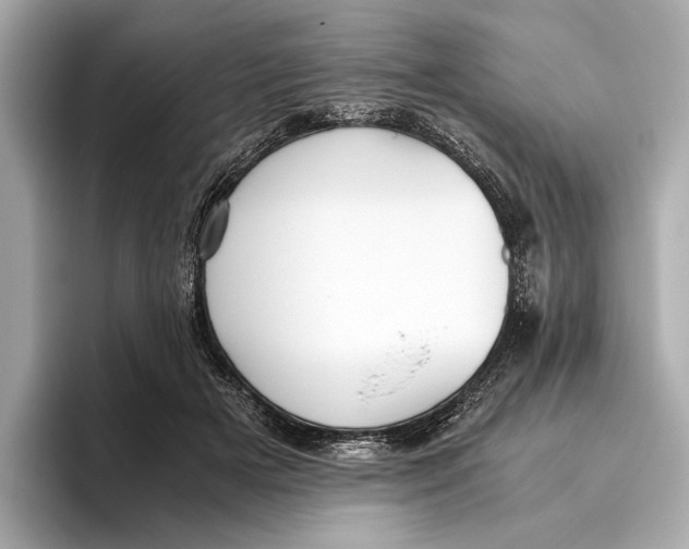 X0000096640505200802261301